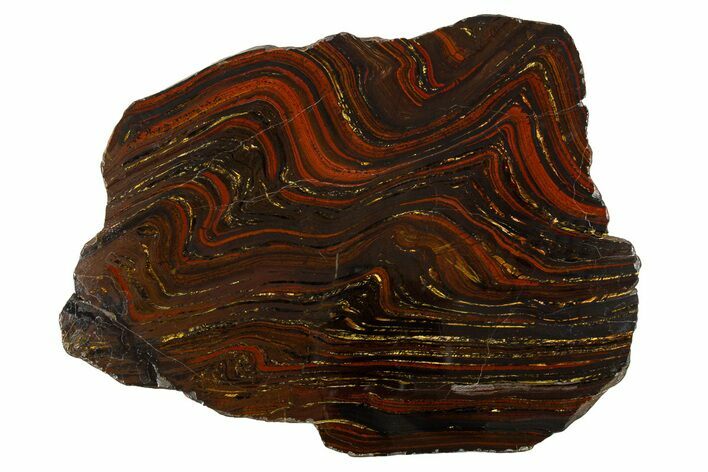 Polished Tiger Iron Stromatolite Slab - Billion Years #314310